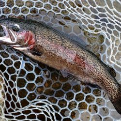 何かを掴めたのかな ～フィッシングパーク高島の泉～